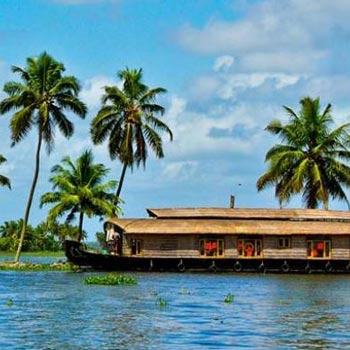 Kerala Tour - Cochin - Munnar Image