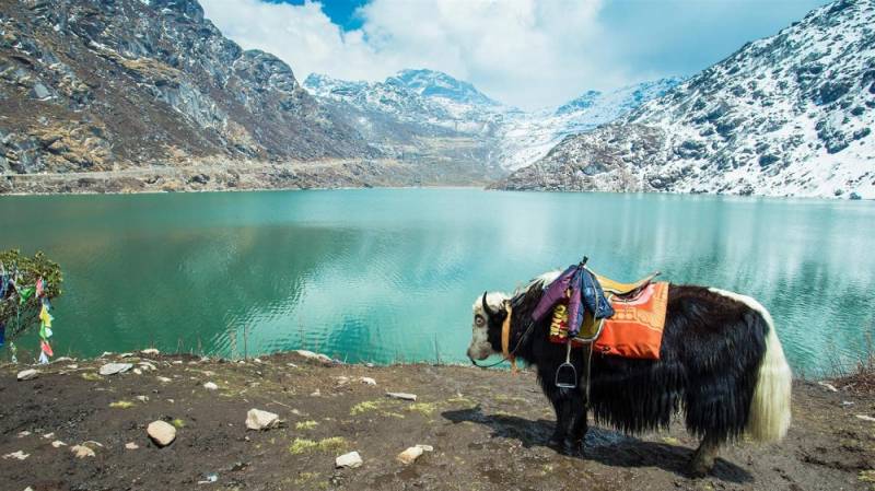 Gangtok - Tsomgo Lake - Pelling - Darjeeling Tour 6 Nights / 7 Days