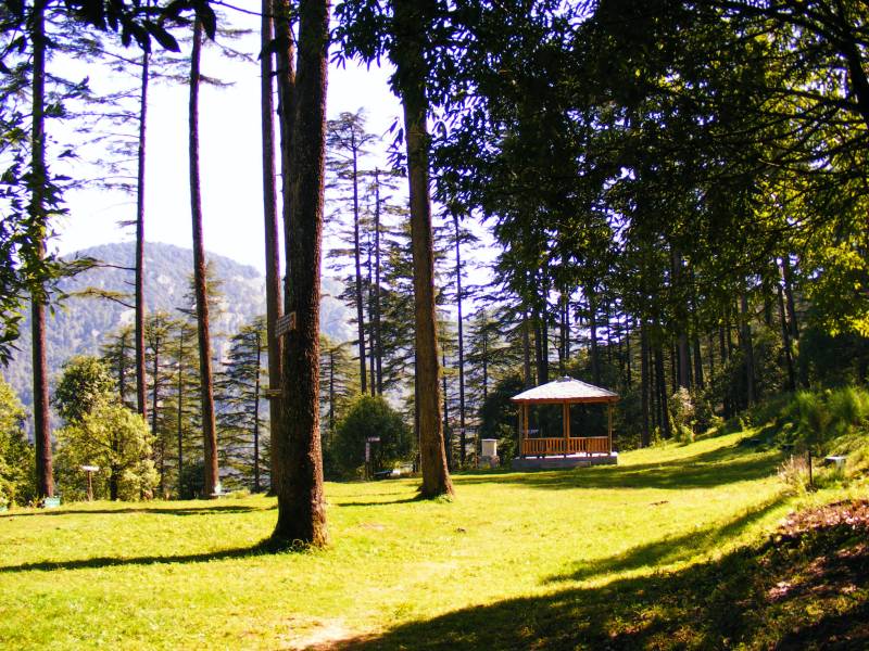 7 Night - 8 Days Uttarakhand Tour Package