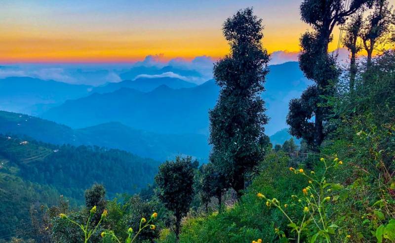 Chakrata - Mussoorie - Dhanaulti - Kanatal Tour Package 5 Night - 6 Days