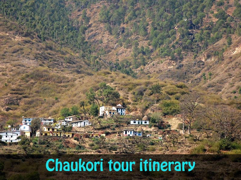 4 Nights - 5 Days Chaukori Tour