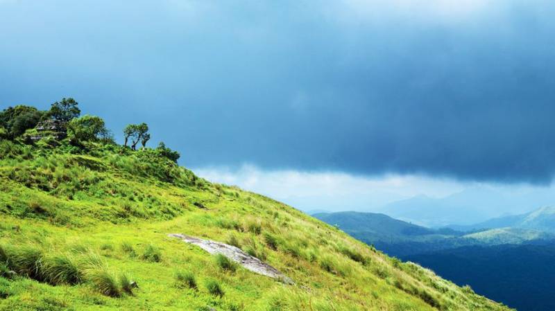 Kerala Tour Package 8 Night - 9 Days