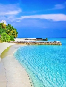 Andaman & Nicobar Tours