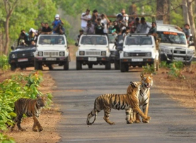 Kanha National Park in Mandla